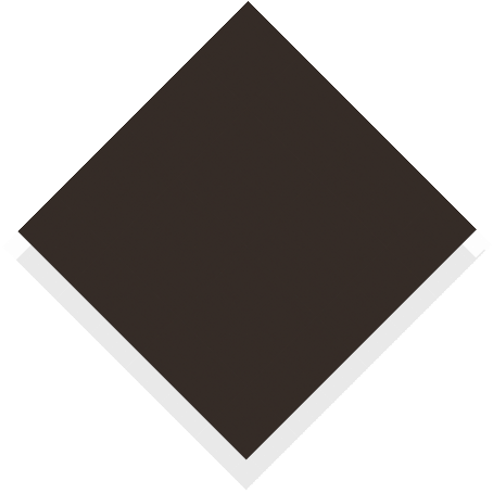 s100_coffee_brown.jpg s100_coffee_brown.jpg