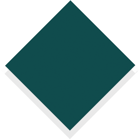 s119_evergreen_size-2_rgb.jpg s119_evergreen_size-2_rgb.jpg